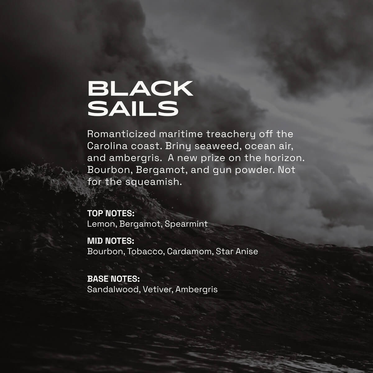 Black Sails Men's Cologne