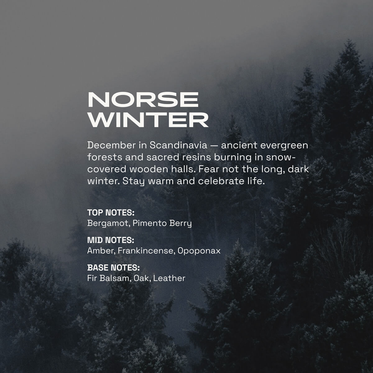 Norse Winter Men's Cologne